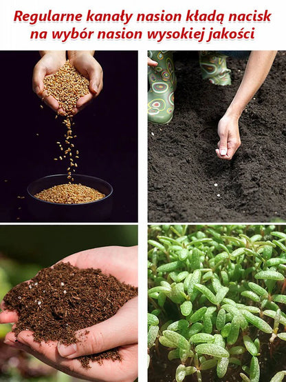 🪷Całoroczne kwitnienie nasiona róż pnących