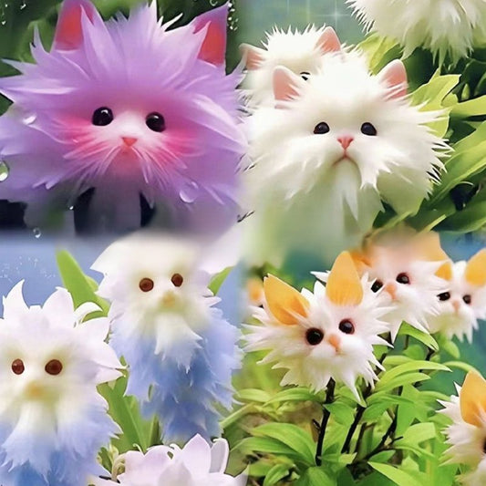 Nasiona orchidee kotego oka